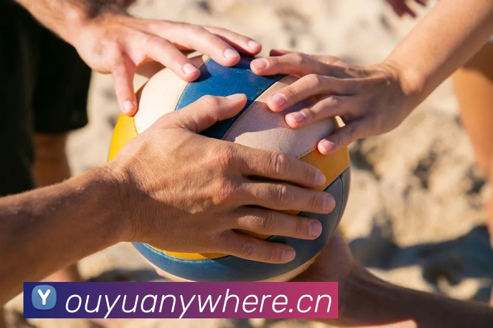 用户互动社区